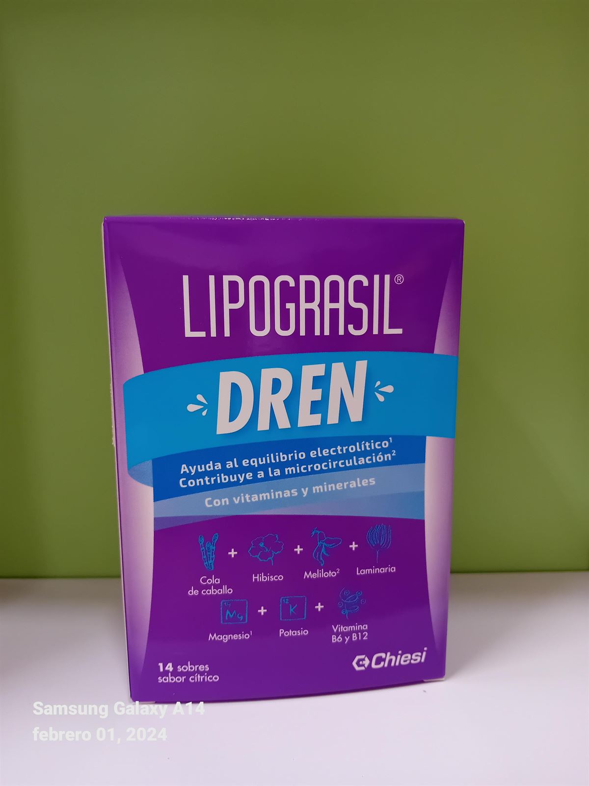 LIPOGRASIL DREN 14 SOBRES - Imagen 1